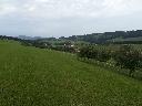 IMG_20190802_083759